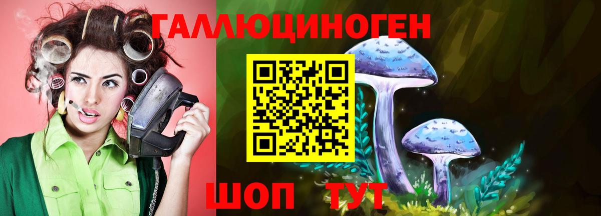 Псилоцибиновые грибы мицелий  Псилоцибиновые грибы MAGIC MUSHROOMS  Железноводск  Вход с VPN 