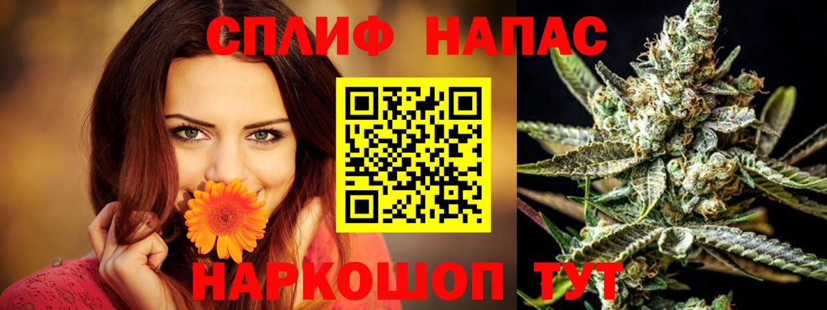 Бошки марихуана MAZAR Железноводск